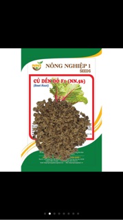 Hạt giống củ dền đỏ 1- gói 10 gr