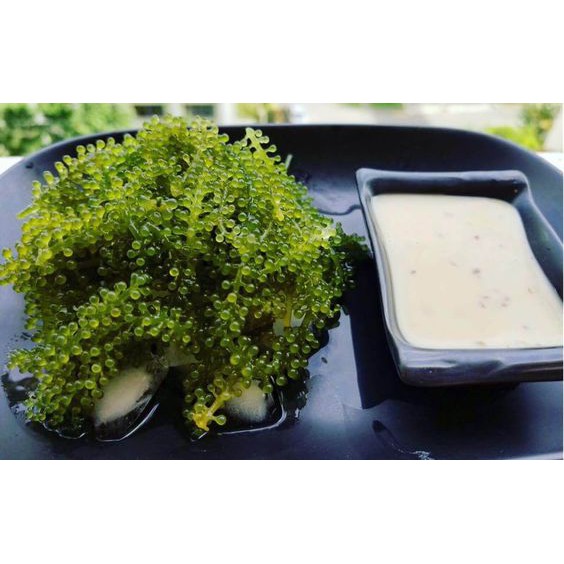 Nước chấm sốt mè rang Kewpie 180ml | BigBuy360 - bigbuy360.vn