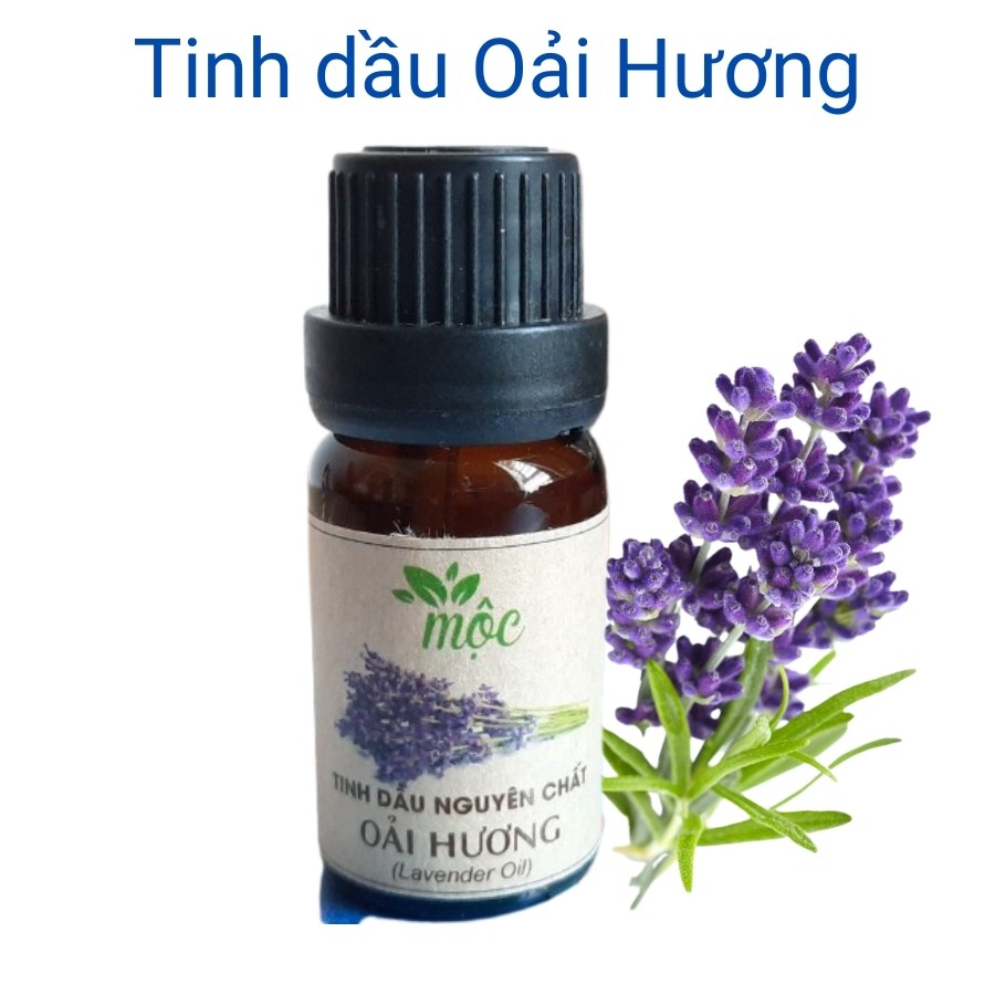 Tinh dầu thơm phòng ngủ đuổi muỗi côn trùng mùi Hoa Oải Hương hương thiên nhiên lọ 10ml MỘC Mitauto