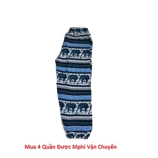 Quần Thổ Cẩm Đi biển