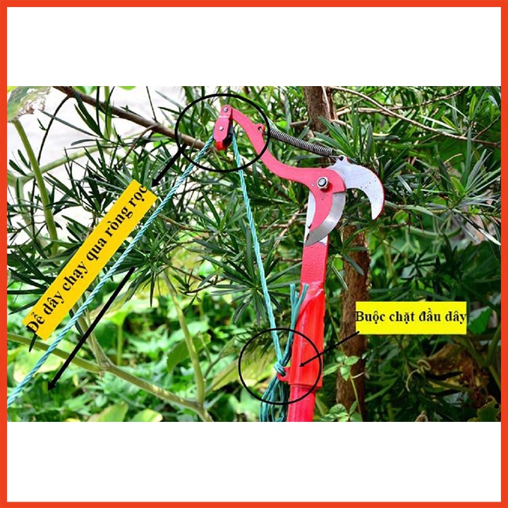 Đầu kéo cắt cành cây trên cao, tỉa cây cảnh, hái hoa quả đa năng