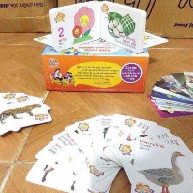 Thẻ học Thông minh glenn doman