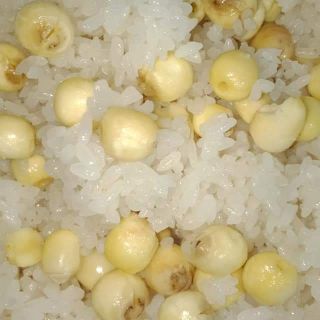 Sen tươi Huế 1kg