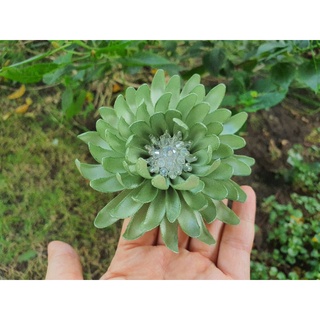 Hoa cúc cài áo thủ công