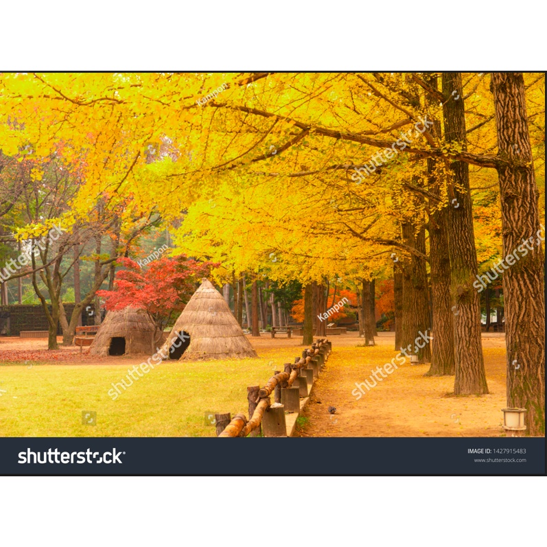 Tranh Dán Tường Khổ Lớn Hàn Quốc kích thước theo yêu cầu, không giới hạn