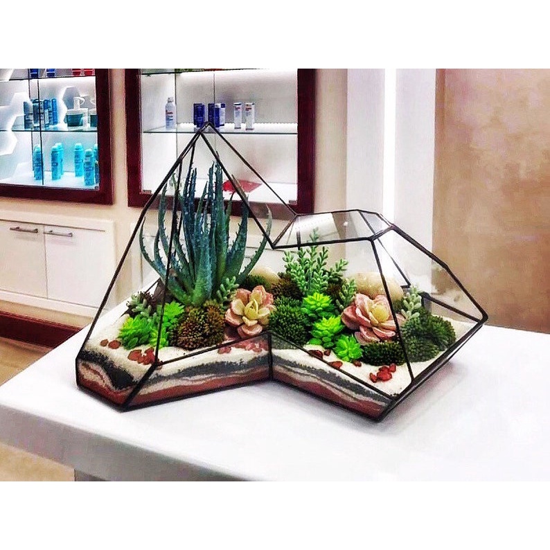 Bình thủy tinh terrarium tiểu cảnh bán cạn đa giác mẫu A4