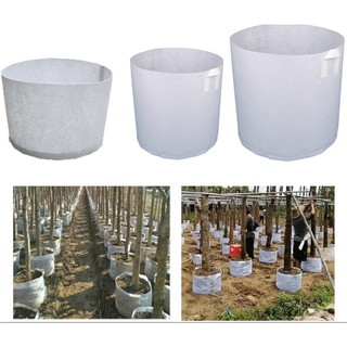 50 Túi Vải Trồng Cây 2 Quai Xách Kích Thước 30x25