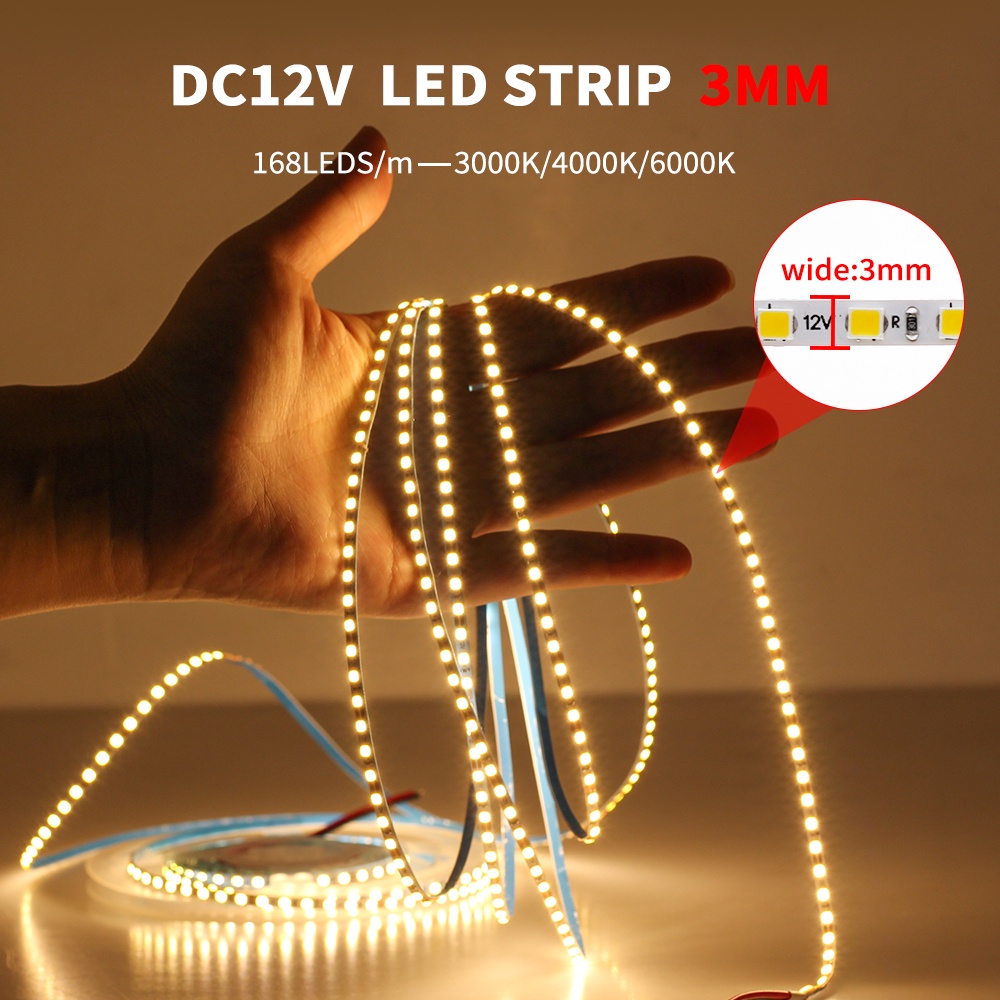 Cuộn Dây Đèn LED 3mm 5M 2025 168 LEDs / m DC12V 3000K 4000K 6000K Trang Trí Phòng Khách Sạn