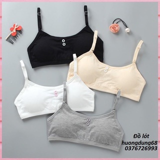 Áo Bra - Áo Lá Học Sinh Cài Sau Cotton Xuất Hàn Mềm Mại Co Giãn Kháng Khuẩn Cao Cấp - Hari ( AL : 035 )