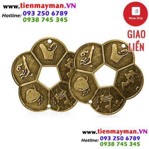 COMBO 6 Đồng xu “Mai hoa kim tiền” kích vượng phú quý, may mắn và lộc tài