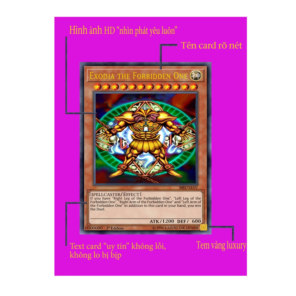 Bộ bài in giá rẻ Legendary Decks II (135 lá - 3 Deck) - Không Hộp (Tặng kèm 1 lá bài real của Yugi)