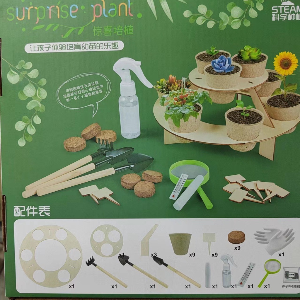 Bộ trồng cây - đồ chơi tư duy giúp bé phát triển toàn diện Bi house