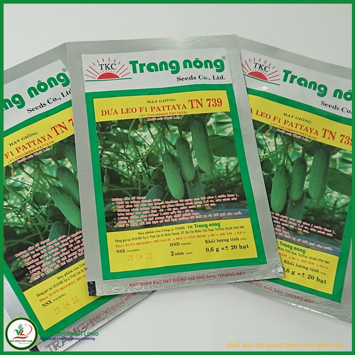Hạt giống Dưa leo F1 PATTAYA - 0,6g