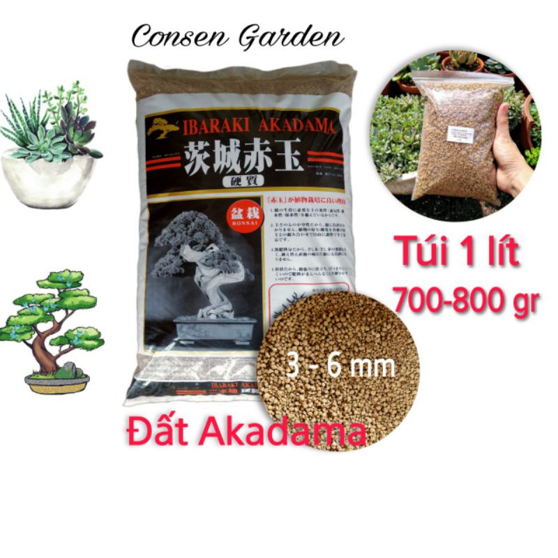 Đất Akadama Nhật Bản Trồng Bonsai - Sen Đá Túi 1Lít