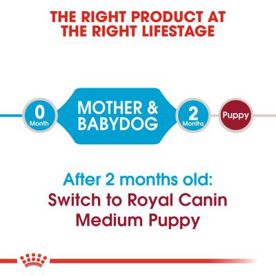 Thức ăn cho chó mẹ và chó con kích thước trung bình 1kg - ROYAL CANIN MEDIUM STARTER MOTHER &amp; BABYDOG 1 kg