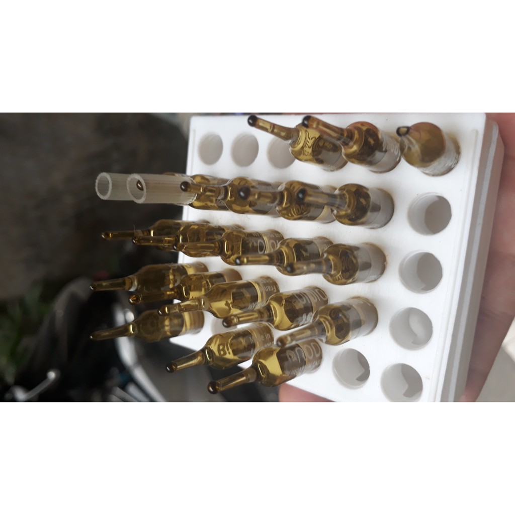 Vi sinh sống Prodibio Bio Digest, BIO TRACE và STOP AMMO cho hồ thủy sinh, GIÁ 1 ỐNG
