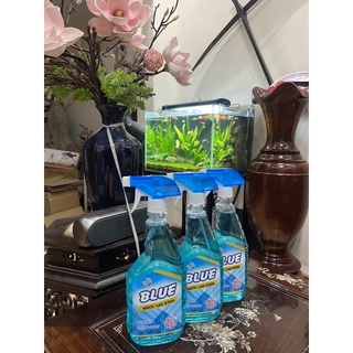 [HN] CHAI XỊT KÍNH BLUE 650ML CÔNG NGHỆ HÀN QUỐC