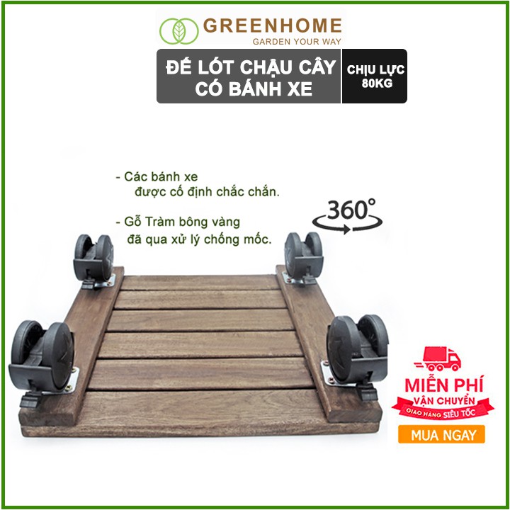 Đế lót chậu cây có bánh xe, hình vuông, màu đen, bằng gỗ, chịu lực 80kg, R30xC8cm |Greenhome