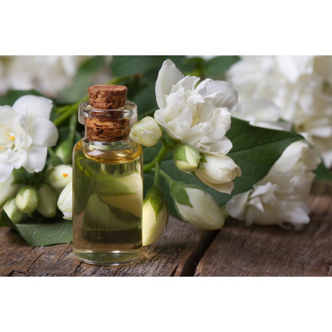 [GIÁ TỐT] Tinh Dầu Thiên Nhiên Hoa Nhài 10ml (Jasmine)