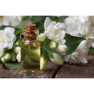 Tinh dầu thiên nhiên hoa nhài 10ml _hd