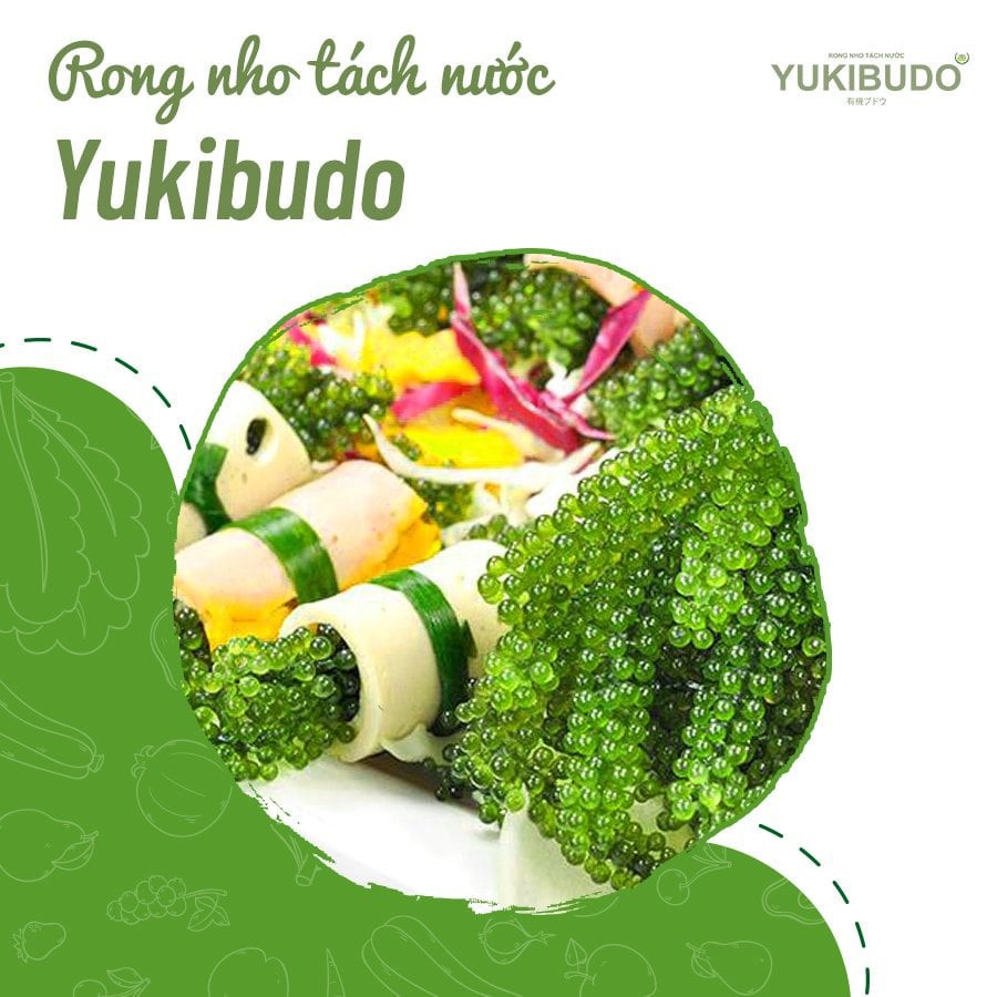 [QUÀ TẶNG KÈM] Rong Nho Yukibudo, Rong Nho Tách Nước Chính Hãng Sản Xuất Theo Công Nghệ Nhật Bản + Kèm Nước Sốt Mè Rang | BigBuy360 - bigbuy360.vn