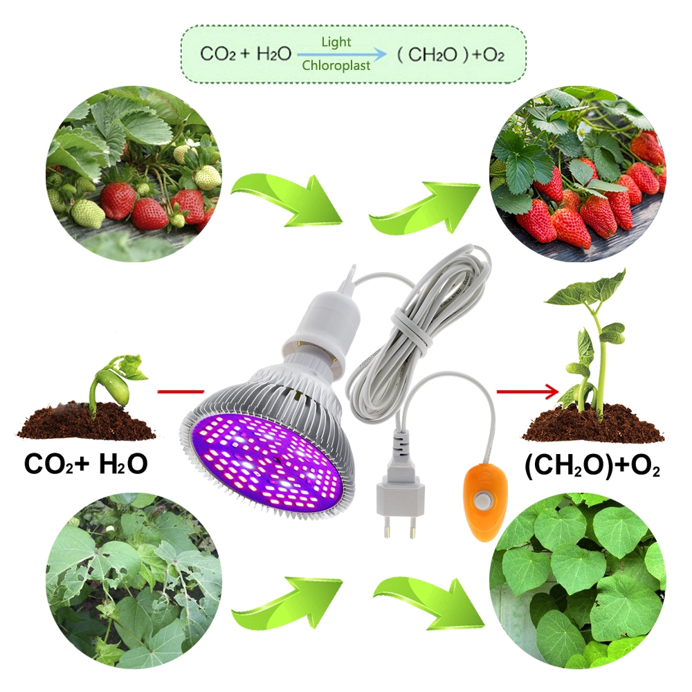 Bóng đèn LED quang phổ 220V E27 30W 50W 80W chuyên dụng tiện lợi