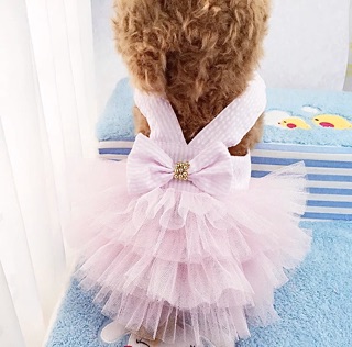 ĐẦM THÚ CƯNG SIÊU XINH ♥️