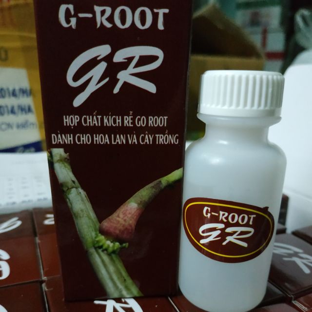 Kích rễ GR