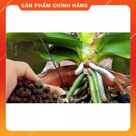 Phân dê đã qua xử lý dùng bón cây cảnh hoa lan–1kg MSP37289
