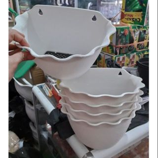 10 chậu áp tường trắng dày đẹp