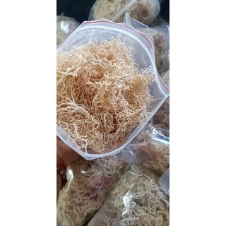 Rong sụn - Rau câu chân vịt