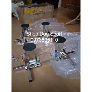 Bàn tập đứng show cho chó