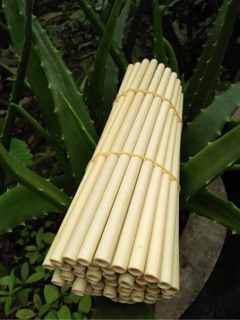 Set 10 ống hút tre