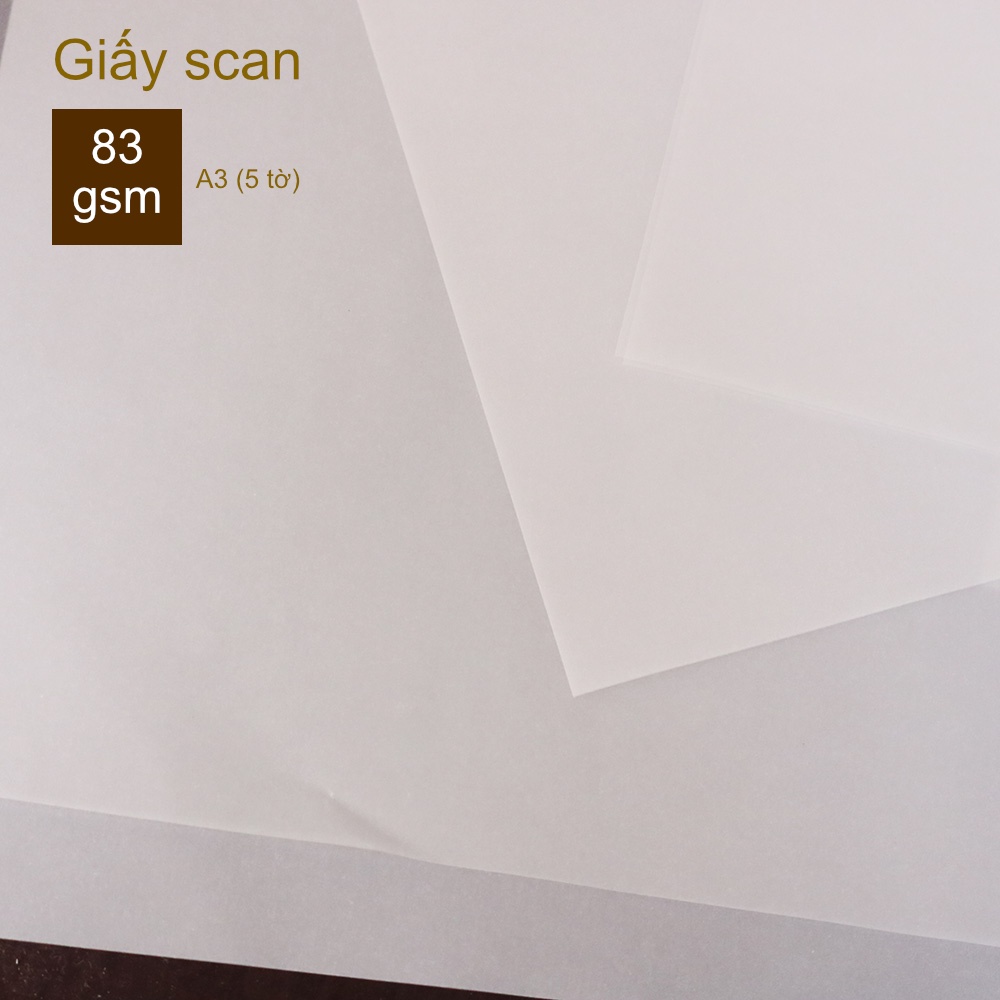 Giấy scan/Giấy can/ Tracing paper gateway - 63/73/83 gsm - A4/A3