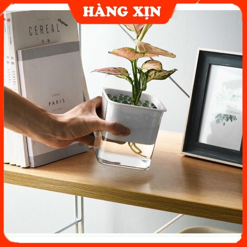 Lọ Thủy Tinh Trồng Cây Thủy Sinh Tự Tưới Nước Mini Decor Bàn Học - Chậu Cây Mini Trang Trí Bàn Làm Việc