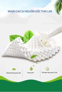 Gối cao su non cao cấp Ventry