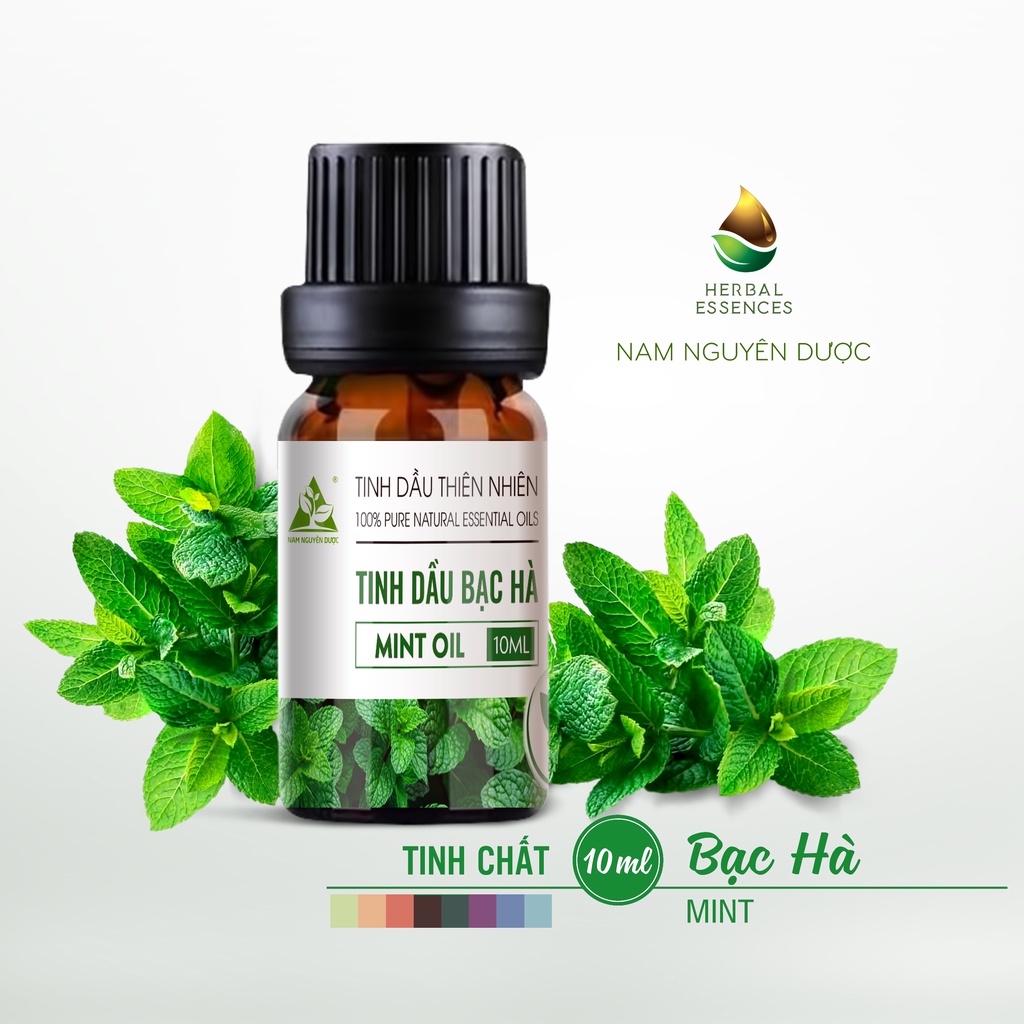 Tinh dầu Bạc hà  nguyên chất - Peppermint Essential (10ml) NAM NGUYÊN DƯỢC