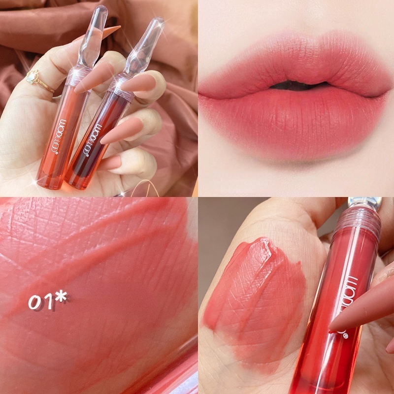 [Hàng mới về] Son bóng Wodwod chống thấm nước với màu đẹp bắt mắt hợp thời trang | BigBuy360 - bigbuy360.vn