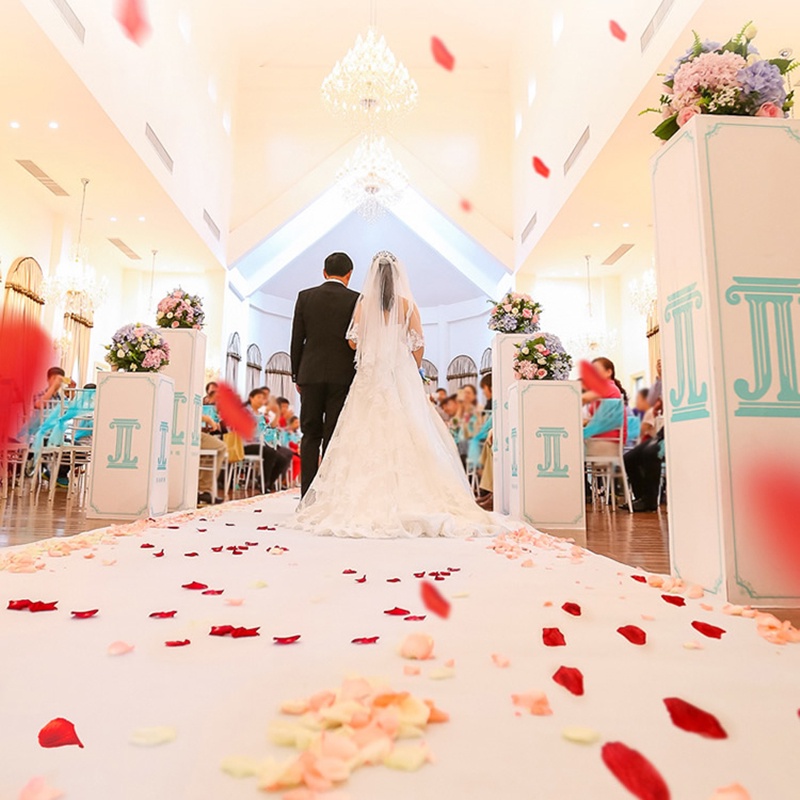 Set 500 Cánh Hoa Hồng Giả Nhiều Màu Trang Trí Tiệc Cưới / Valentine