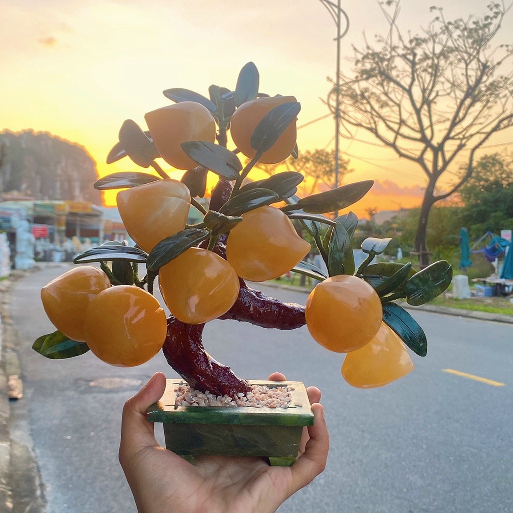 Chậu đào đá 9 quả to đẹp cao 30cm