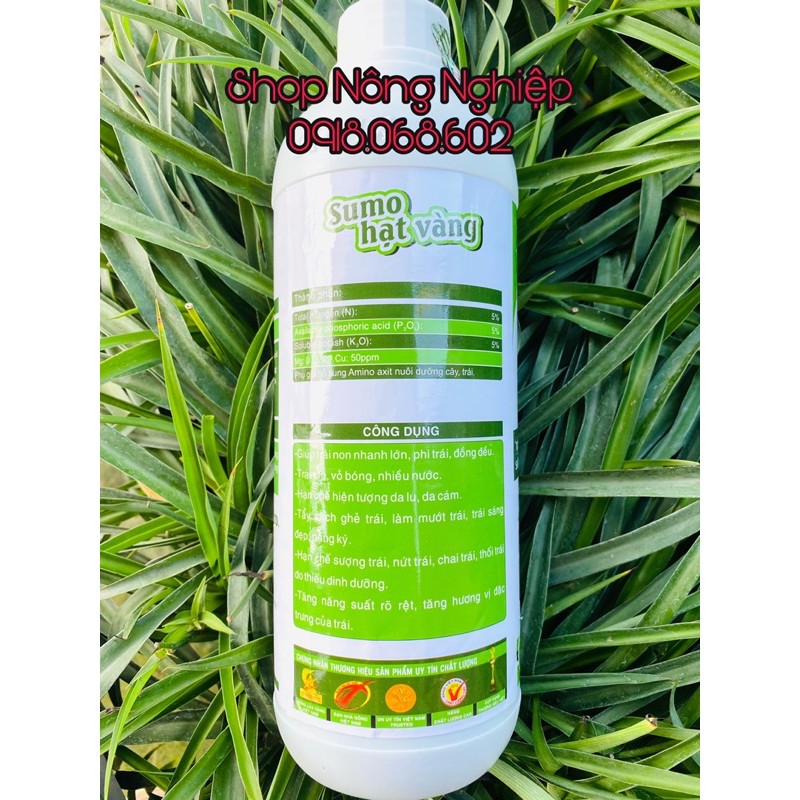 Phân bón lá AMINO Tẩy trái chai 1L, da lu, da cám, giúp bóng trái đẹp trái.