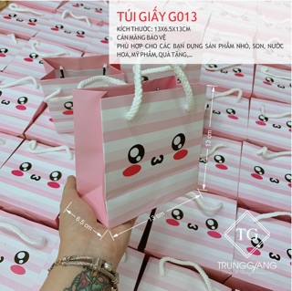 10 túi giấy G013