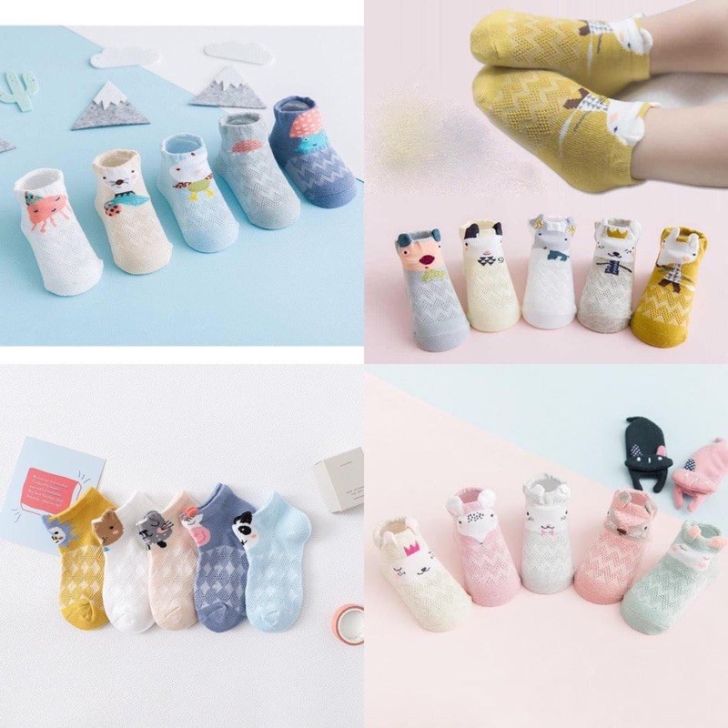 Combo 5 Đôi Tất Tiny Alpaca Cho Bé, Vớ Cho Bé