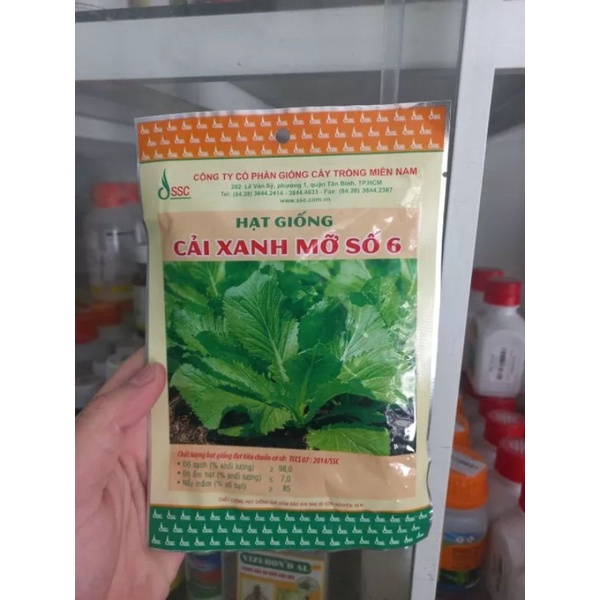 Hạt giống cải xanh mỡ số 6 SSC 50g