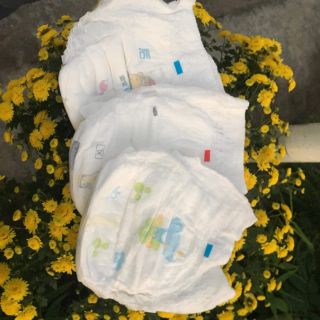 150 miếng BỈM QUẦN TRẦN HIPPIG 100 miếng 100M/100L/100XL/100XXL