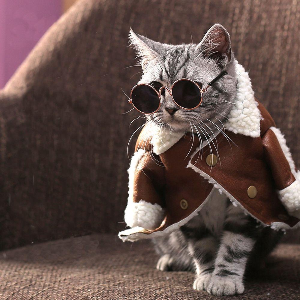 AUGUSTINA Mắt Kính Tròn Dễ Thương Cho Thú Cưng