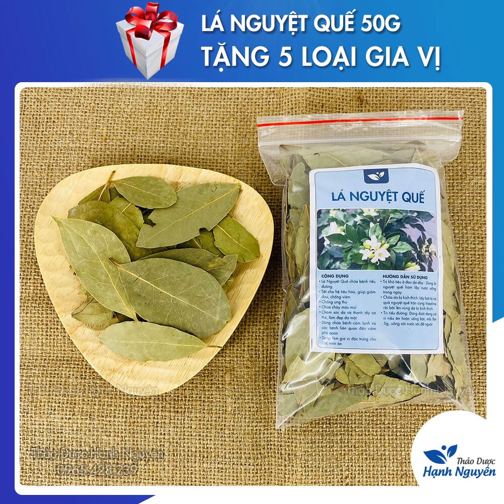 Lá nguyệt quế 100g (lá bay leaf làm gia vị, nấu ăn cực thơm ngon) - Thảo dược hạnh nguyên