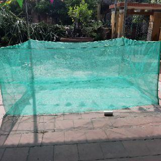 Tráng nuôi ốc mới nở - Mã số 211