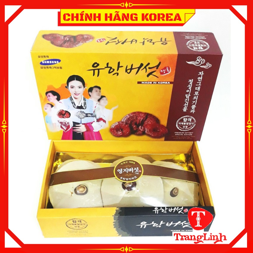 Nấm linh chi hàn quốc chính hãng - Nấm hộp cô gái mặt sữa 1kg giúp thải độc gan, thanh lọc cơ thể - tranglinhkorea