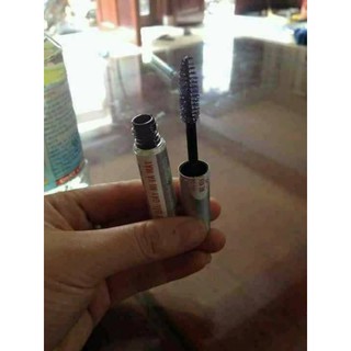 CHUỐT DƯỠNG DÀI, DÀY MI VÀ MÀY
